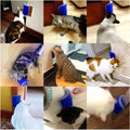 Self-Grooming Cat Scratcher & Massager Brush – Hair Removal