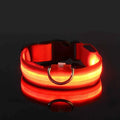 LED Dog Collar – Nylon, Safety Glow, Flashing at Night
