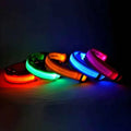 LED Dog Collar – Nylon, Safety Glow, Flashing at Night