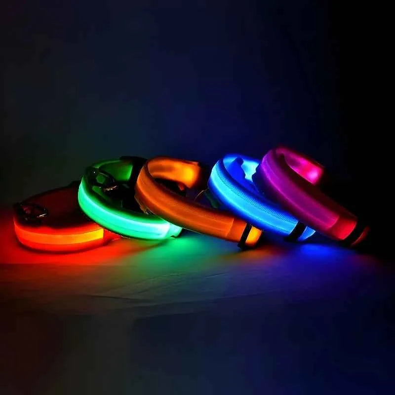 LED Dog Collar – Nylon, Safety Glow, Flashing at Night