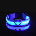 LED Dog Collar – Nylon, Safety Glow, Flashing at Night