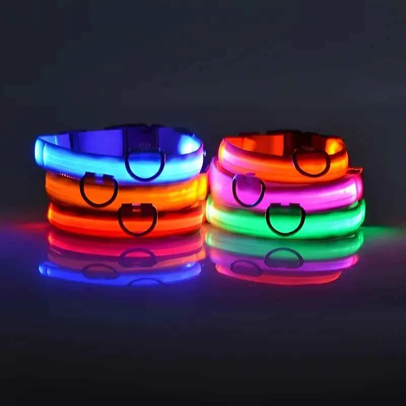 LED Dog Collar – Nylon, Safety Glow, Flashing at Night