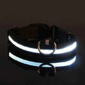 LED Dog Collar – Nylon, Safety Glow, Flashing at Night