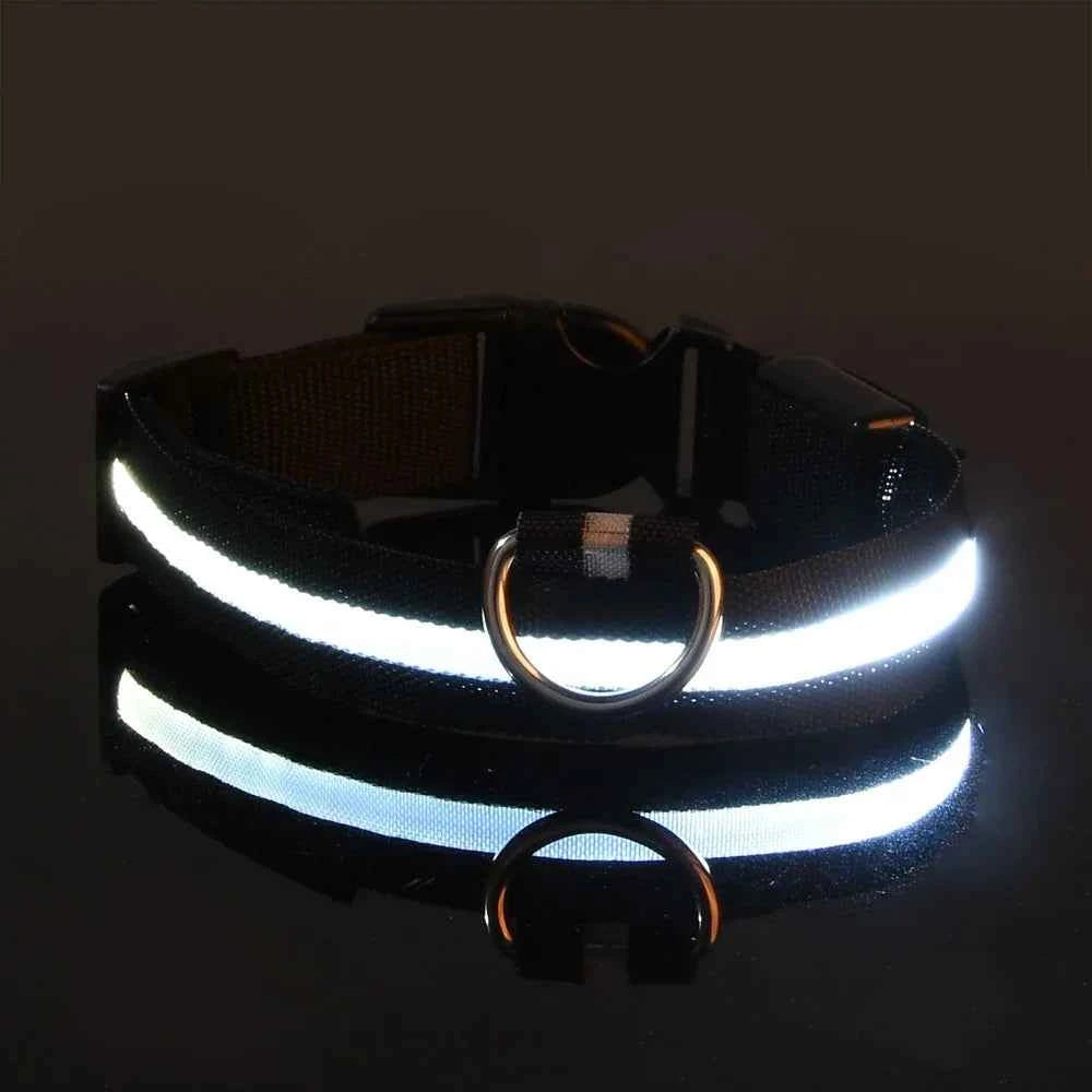 LED Dog Collar – Nylon, Safety Glow, Flashing at Night