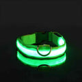 LED Dog Collar – Nylon, Safety Glow, Flashing at Night