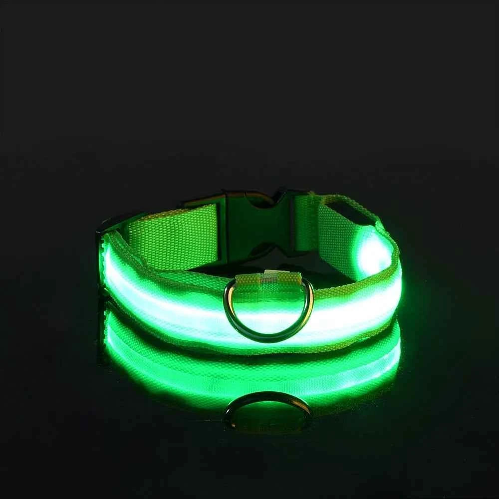 LED Dog Collar – Nylon, Safety Glow, Flashing at Night