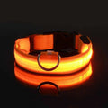 LED Dog Collar – Nylon, Safety Glow, Flashing at Night