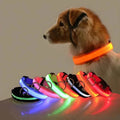 LED Dog Collar – Nylon, Safety Glow, Flashing at Night