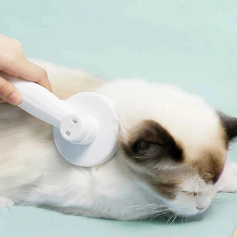 Self-Cleaning Cat & Dog Hair Removal Comb – One-Click Shedding Brush