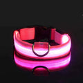 LED Dog Collar – Nylon, Safety Glow, Flashing at Night