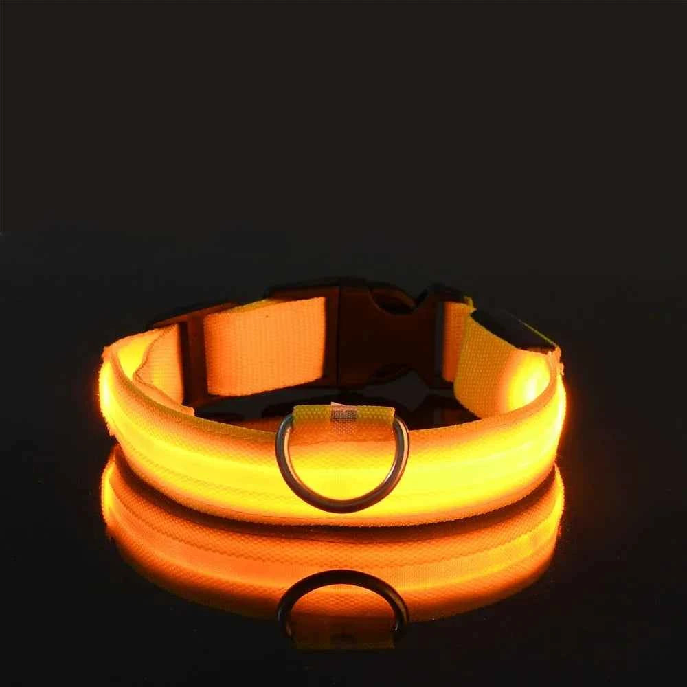 LED Dog Collar – Nylon, Safety Glow, Flashing at Night